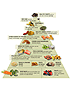 Dr. Weil's Anti-Inflammatory Food Pyramid